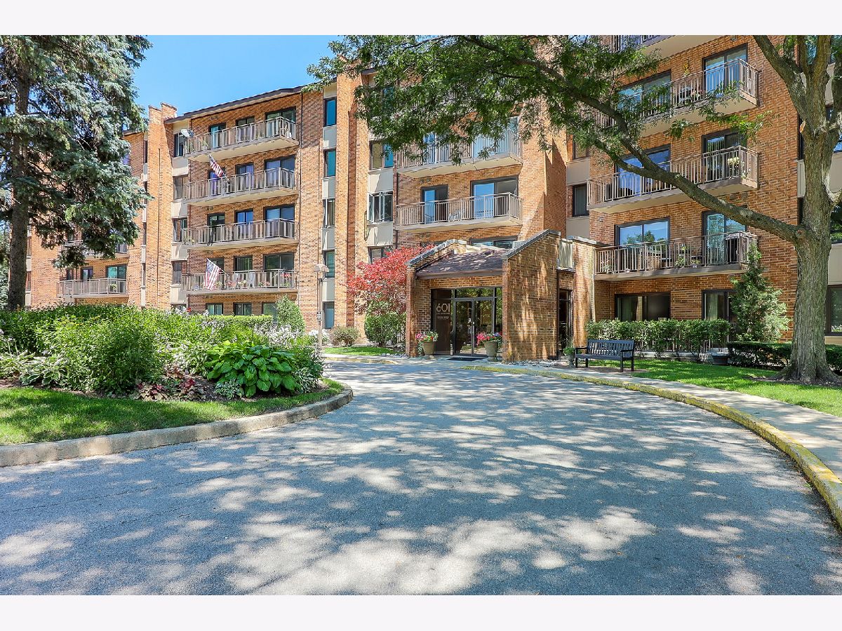 Condos & Townhomes For Sale Lake Hinsdale Village Willowbrook Illinois, 601 Lake Hinsdale Drive