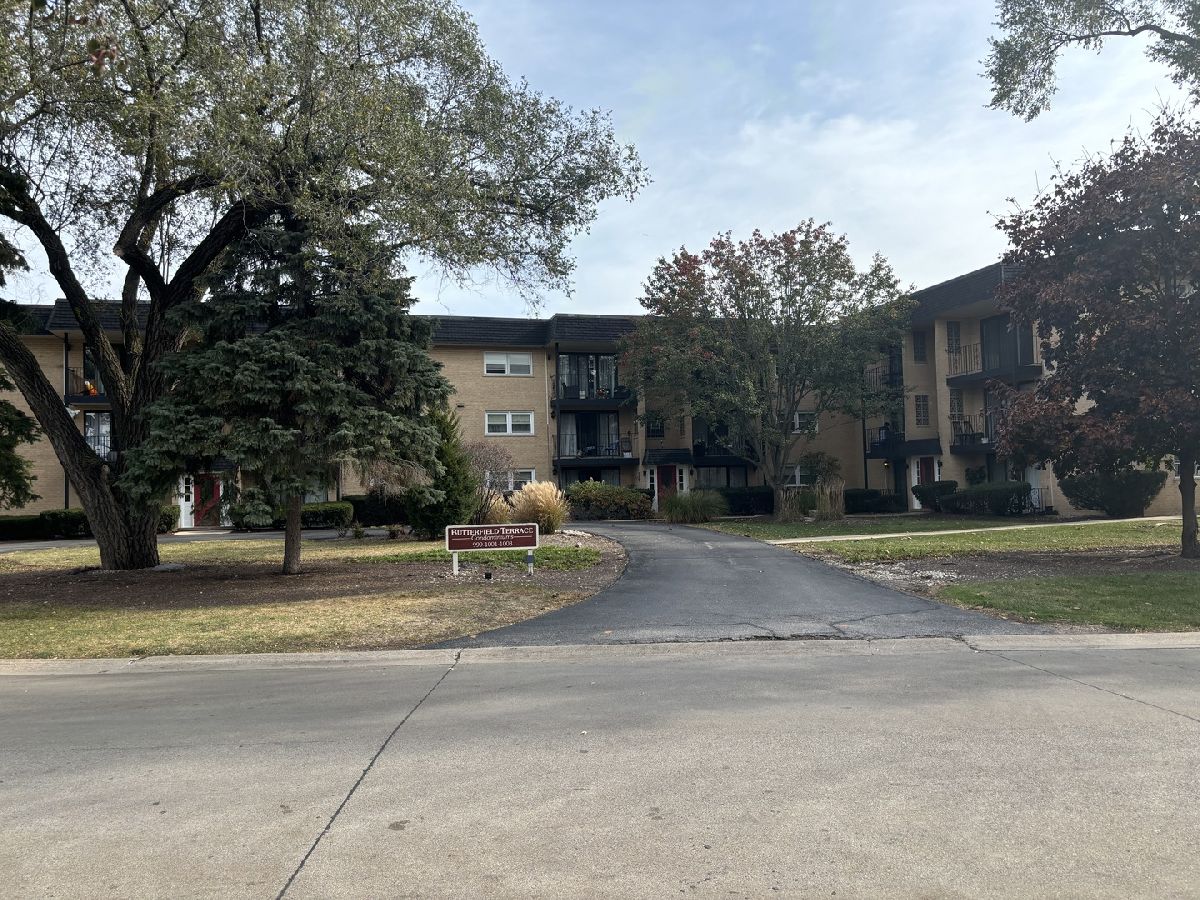  Rented Elmhurst Illinois, 1003 Euclid