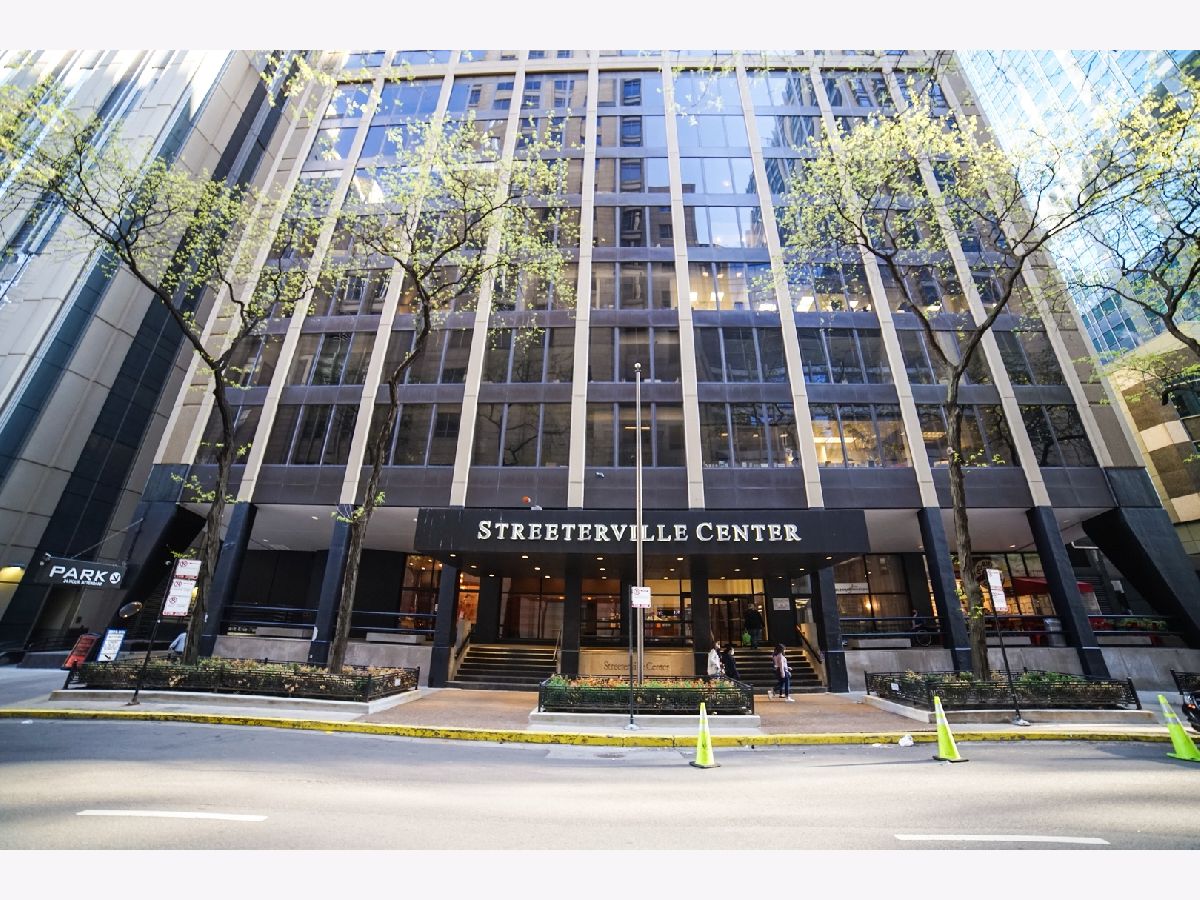 Condos & Townhomes For Rent Streeterville Chicago Illinois, 233 Erie