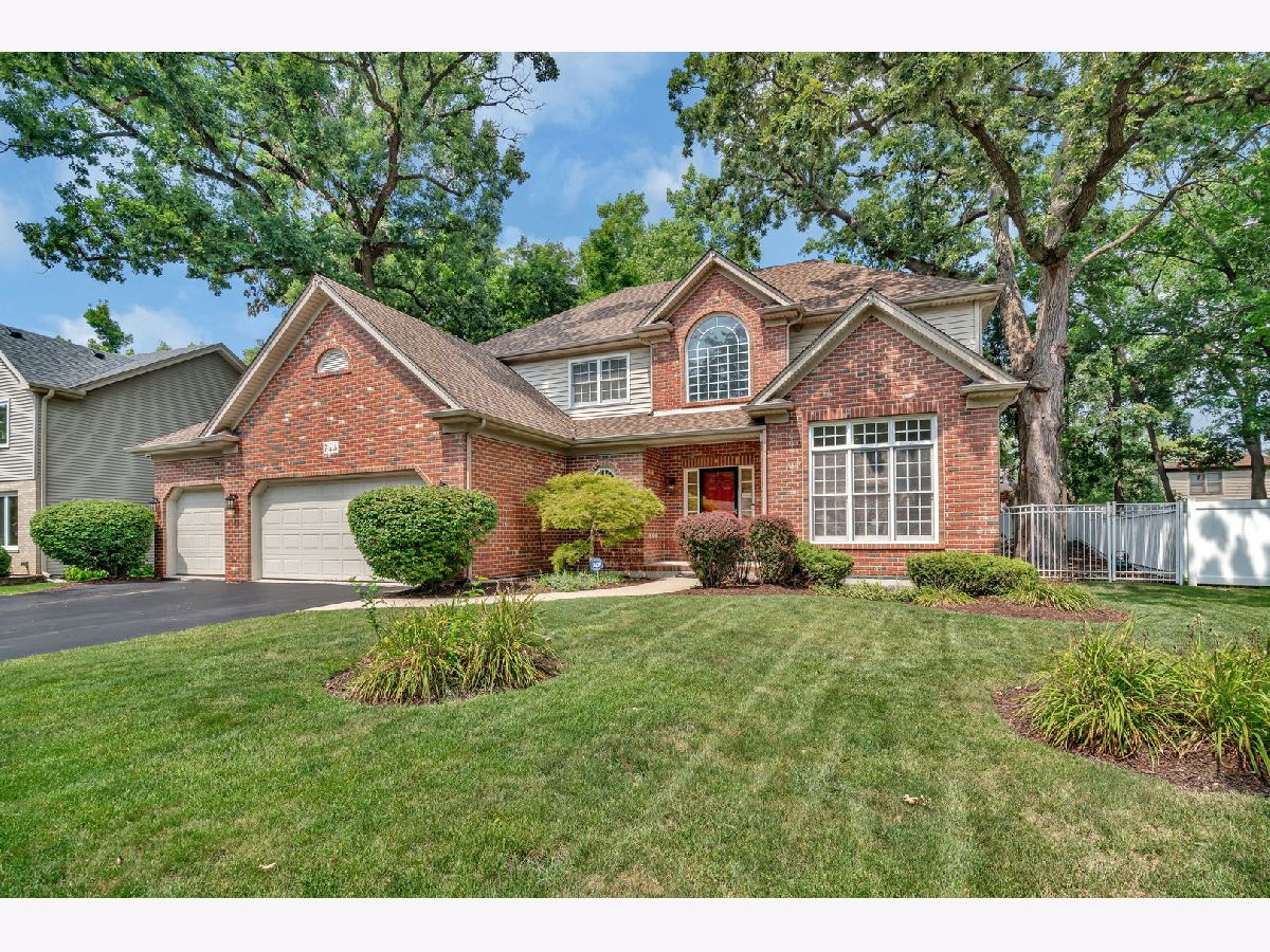  For Rent Bolingbrook Illinois, 745 Feather Sound