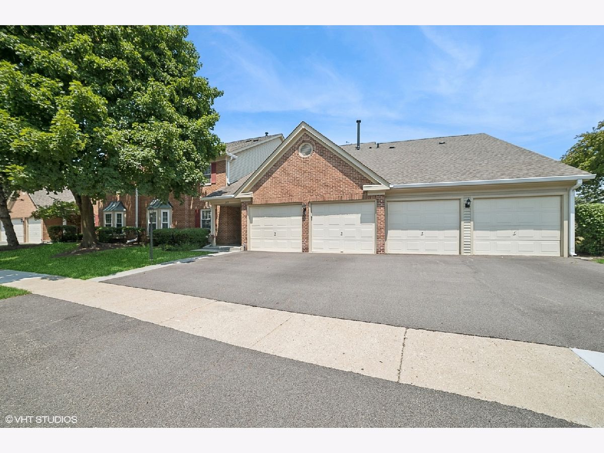 Townhomes & Condos For Sale Towne Place Schaumburg Illinois, 209 Dublin Lane