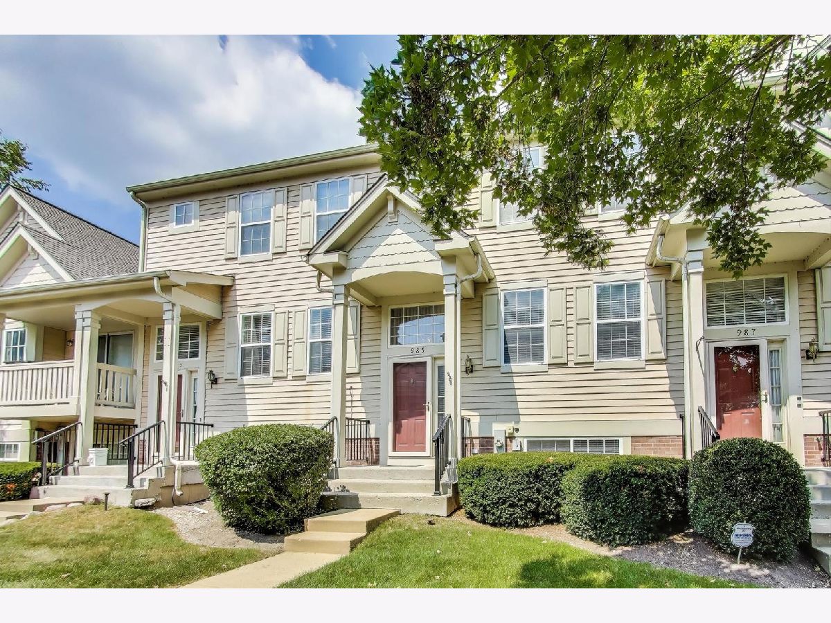 Townhomes & Homes Sold College Trail Grayslake Illinois, 985 Manchester