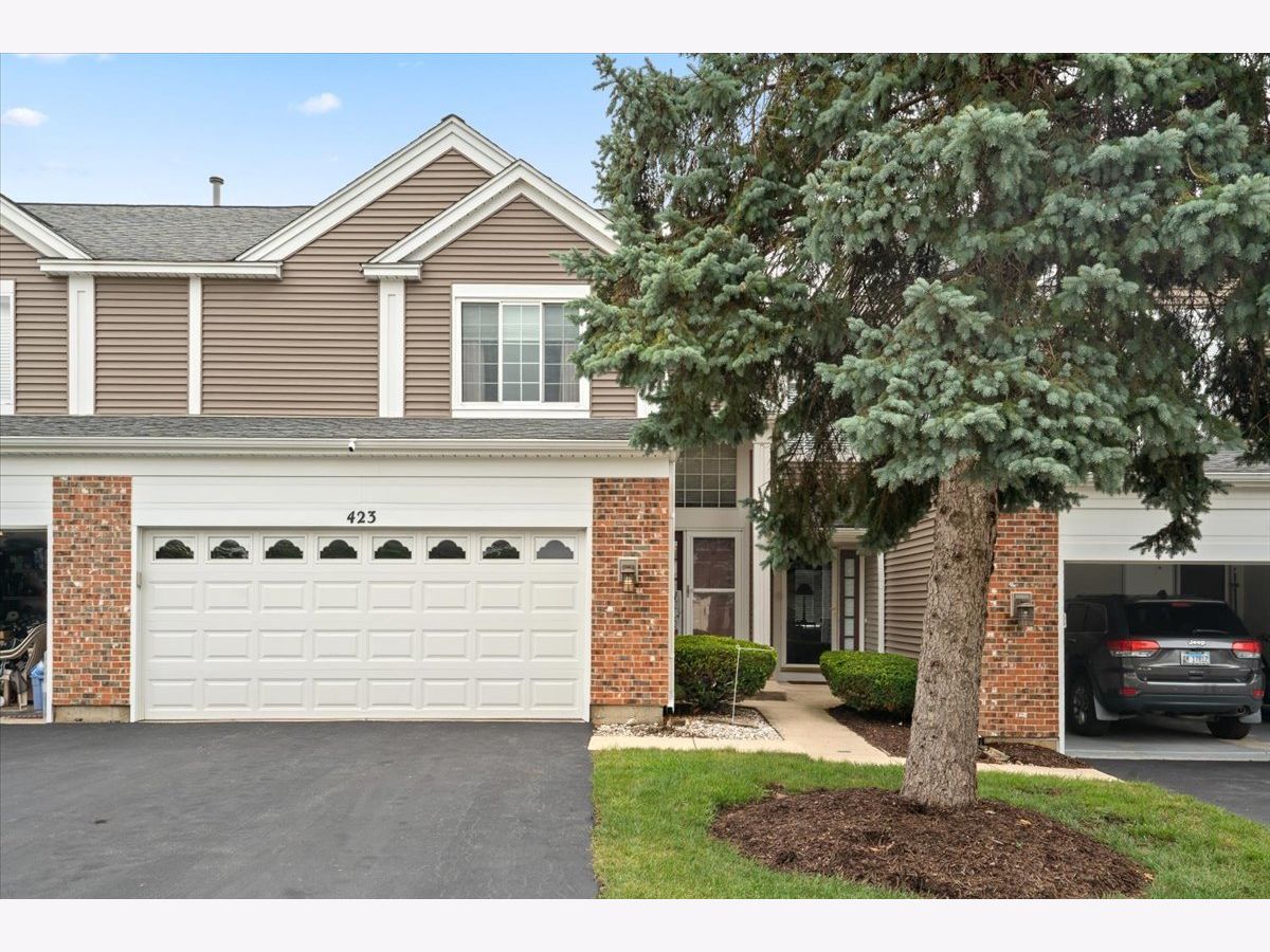 Townhomes & Condos & Homes For Sale Amber Grove Bartlett Illinois, 423 Spaulding Road