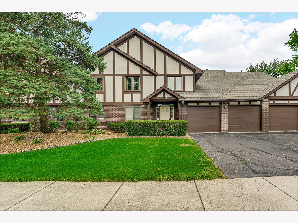 Condominiums For Sale Oak Village Tinley Park Illinois, 18020 66th Court