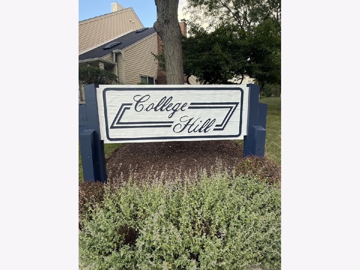  For Rent Rolling Meadows Illinois, 303 College