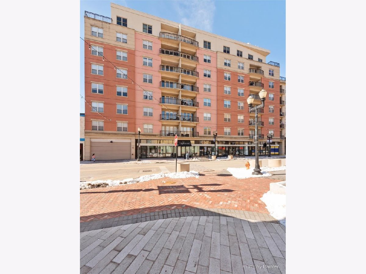  Rented Elgin Illinois, 50 Grove
