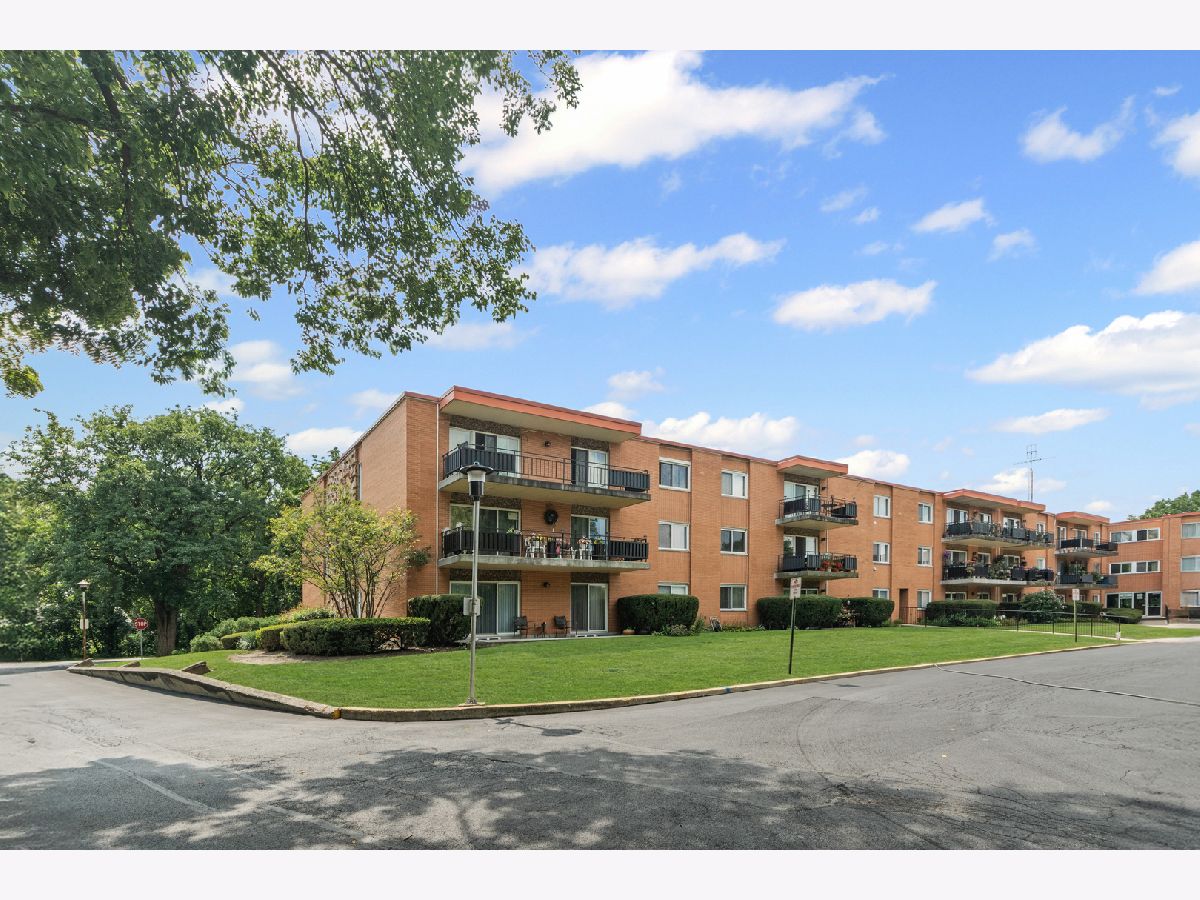 Condominiums For Sale Cameo Homewood Illinois, 940 Holbrook Road