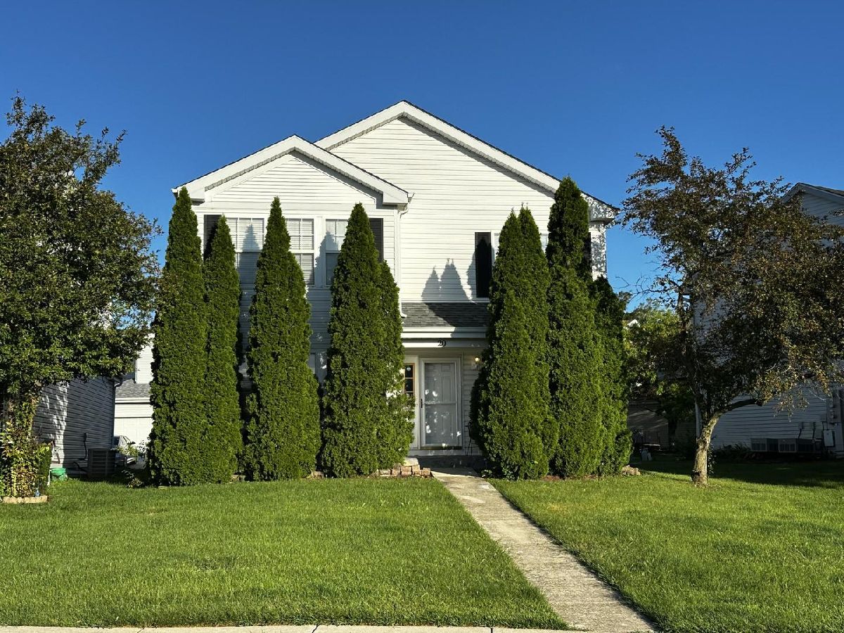  For Rent Oswego Illinois, 20 Waterbury