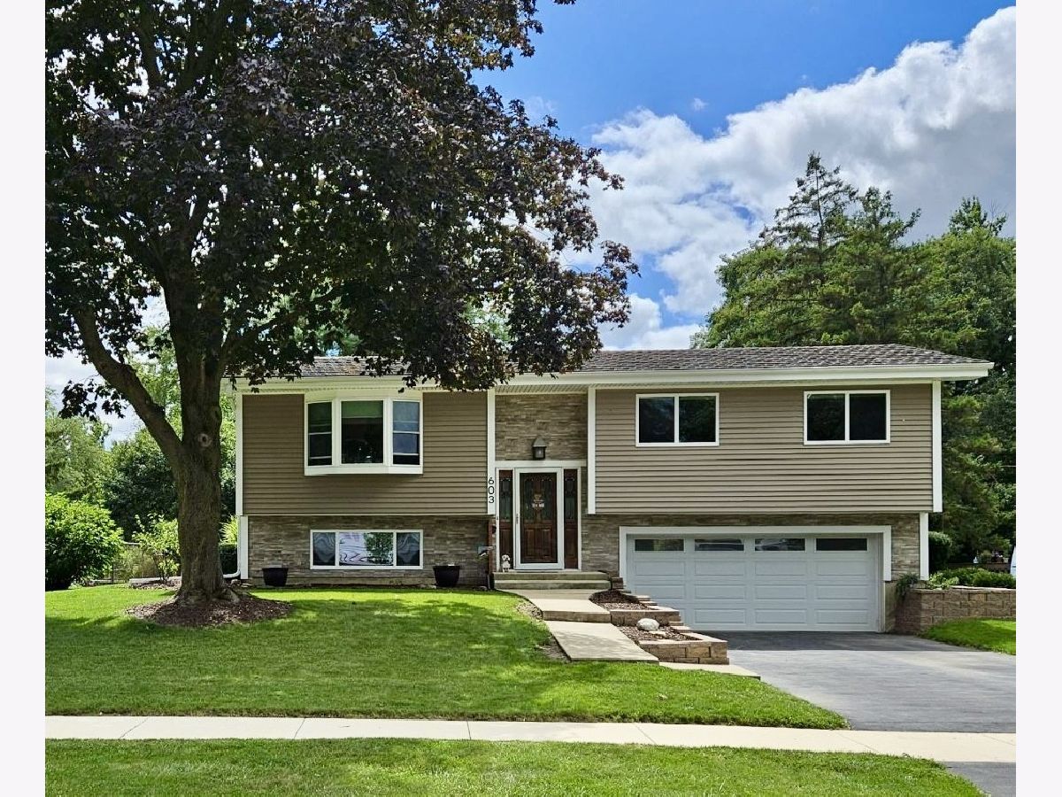 For Sale Lisle Illinois, 603 Columbine Avenue