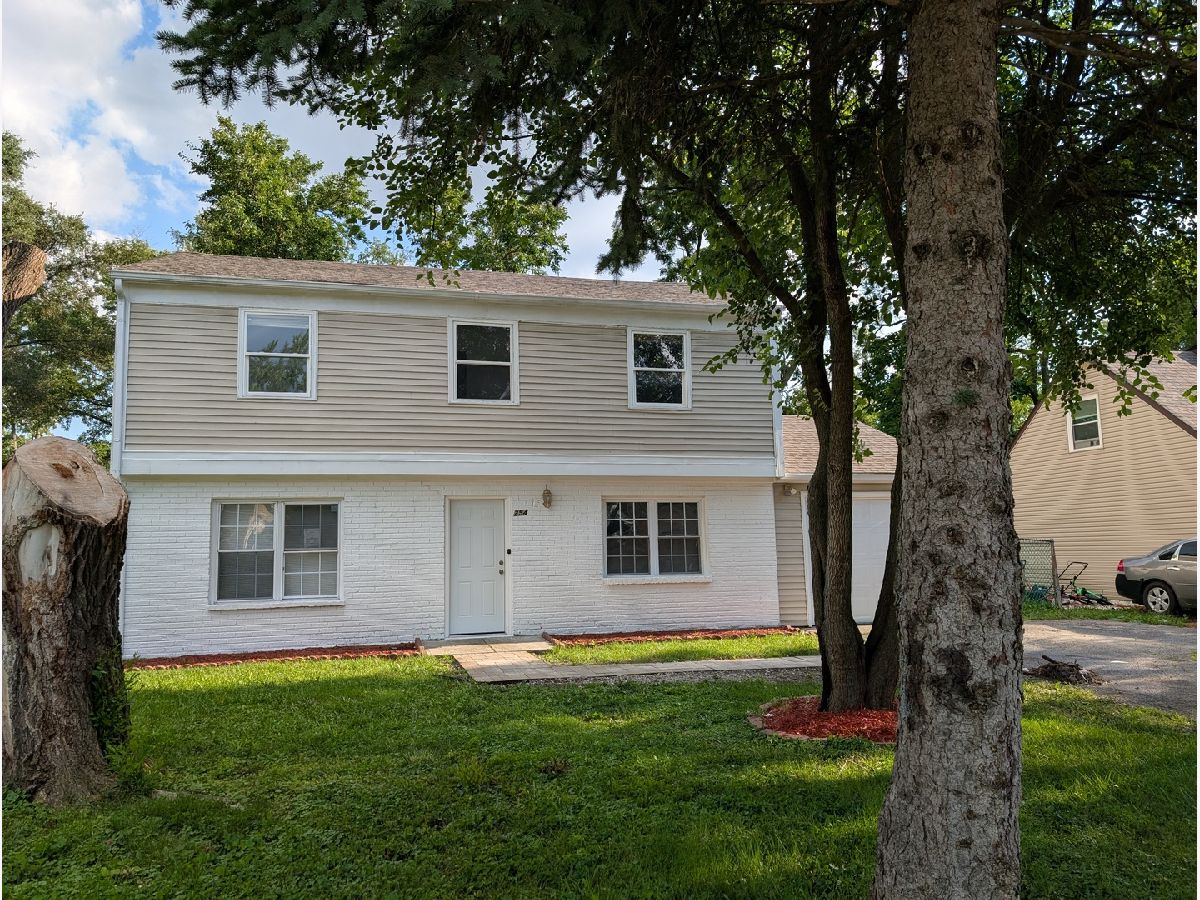  For Rent Bolingbrook Illinois, 254 Thornhurst