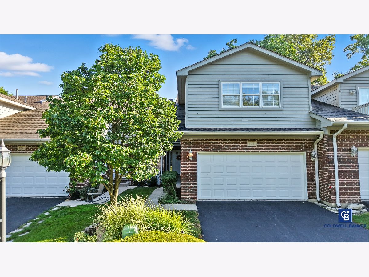 Townhomes & Condos & Homes For Sale Willow Creek Willow Springs Illinois, 126 Willow Creek Lane