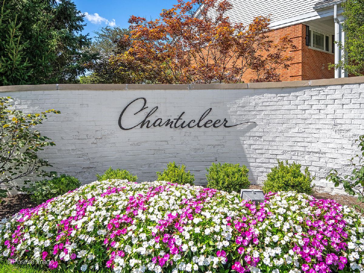 Townhomes & Homes For Sale Chanticleer Hinsdale Illinois, 902 Chanticleer Lane