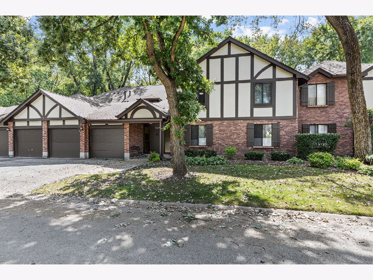 For Rent Palos Hills Illinois, 8125 Willow