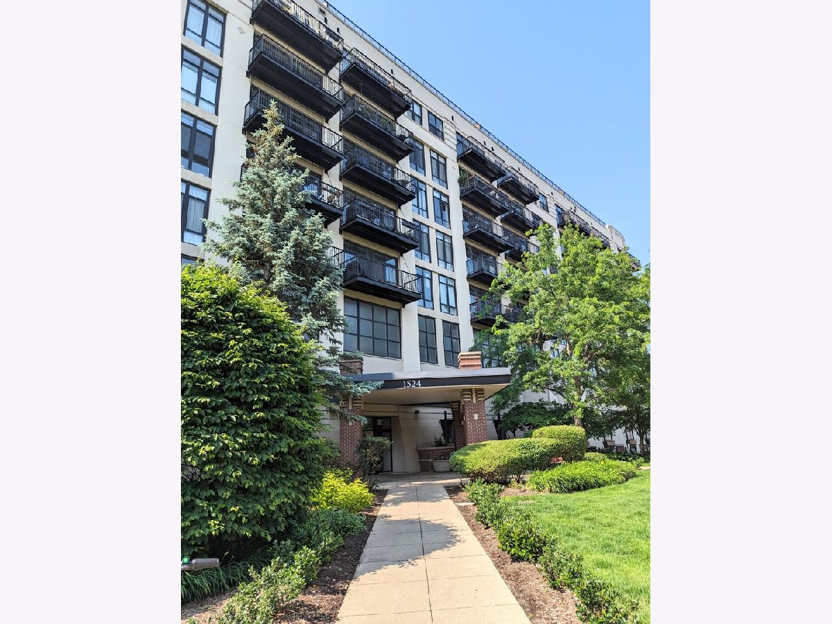Condos & Townhomes & Homes For Rent University Village Chicago Illinois, 1524 Sangamon