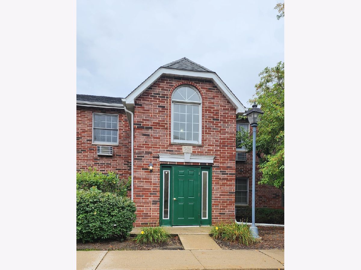  For Rent Woodstock Illinois, 501 Leah