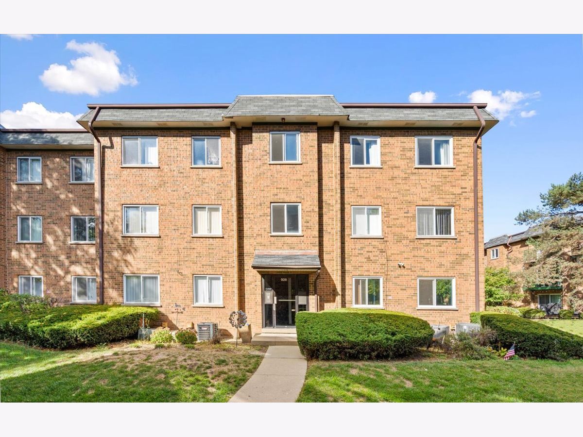  For Sale Schaumburg Illinois, 928 Casey Court