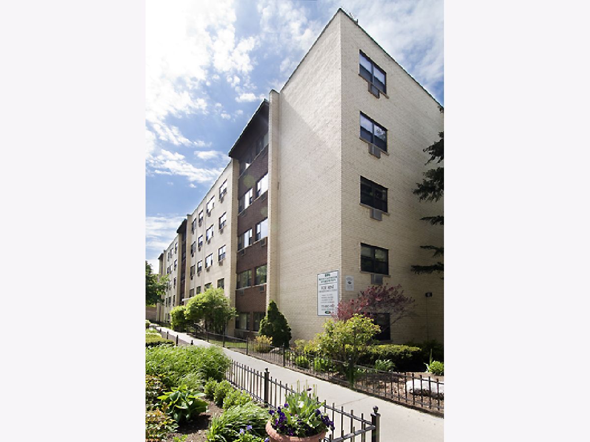  Rented Chicago Illinois, 606 Cornelia