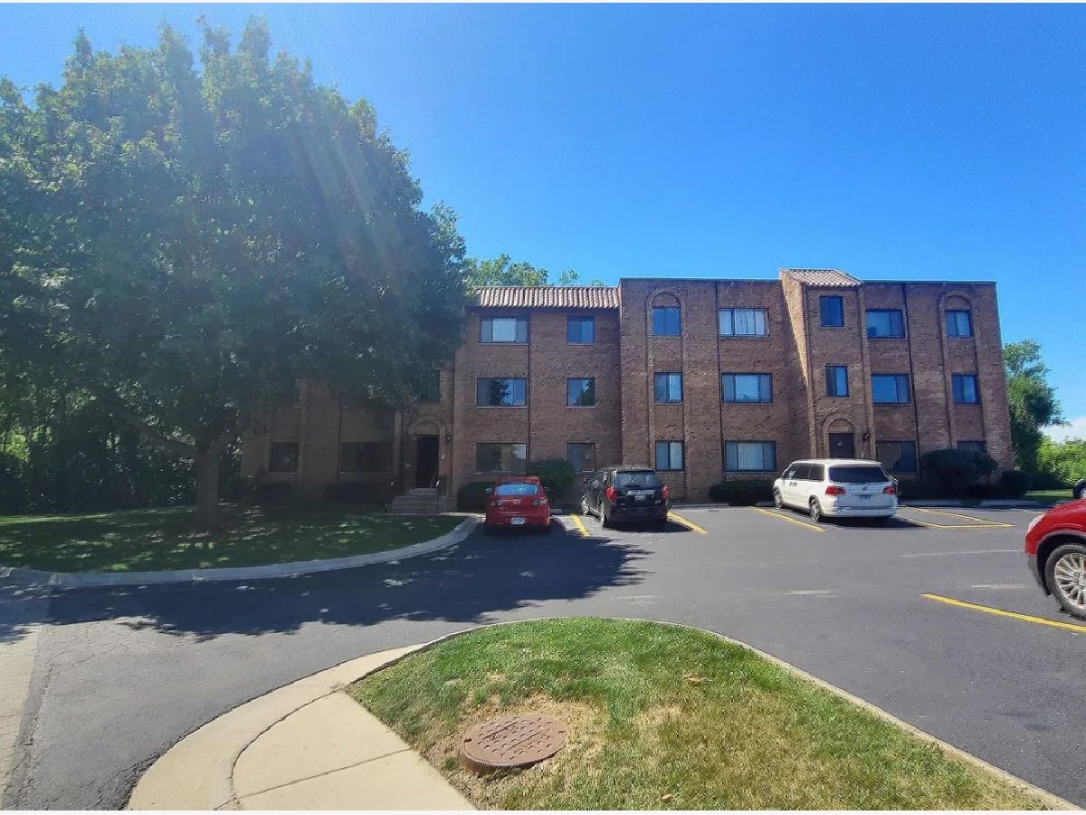  For Rent Palatine Illinois, 224 Rimini