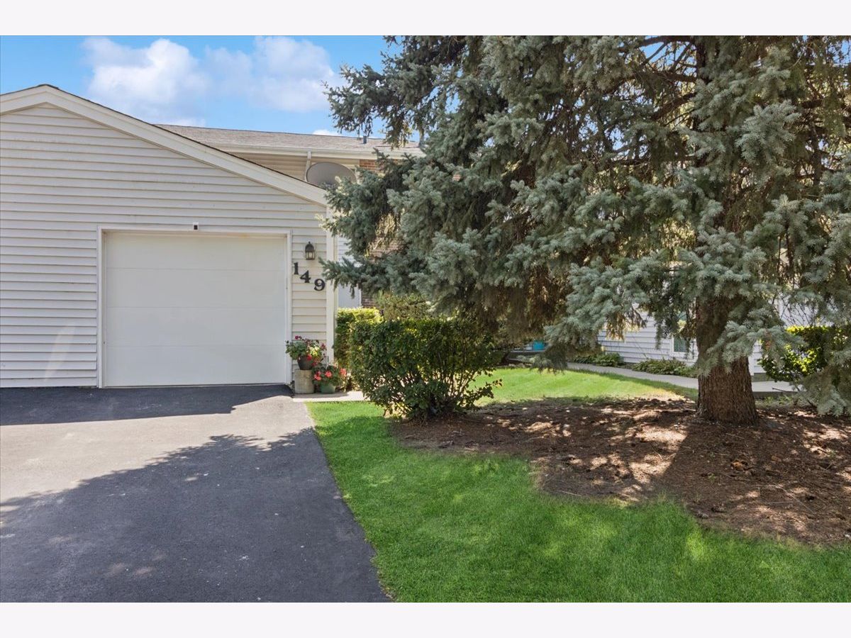Townhomes For Sale Winston Village Bolingbrook Illinois, 149 Thomas Road