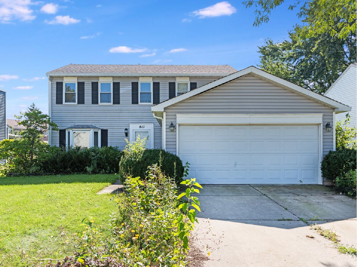  For Sale Carol Stream Illinois, 813 Kansas Street
