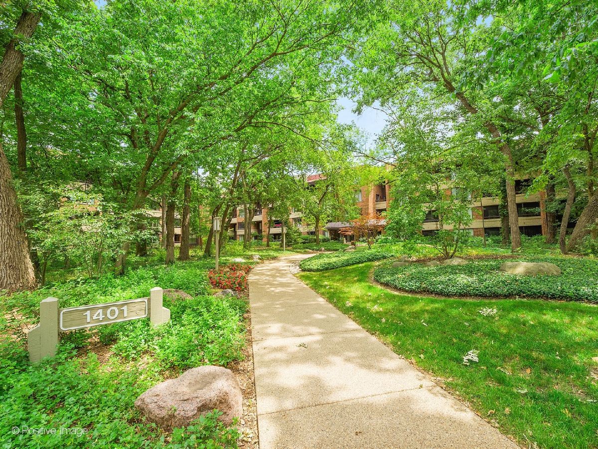 Condos & Townhomes & Homes For Sale Graue Mill Hinsdale Illinois, 1401 Burr Oak Road