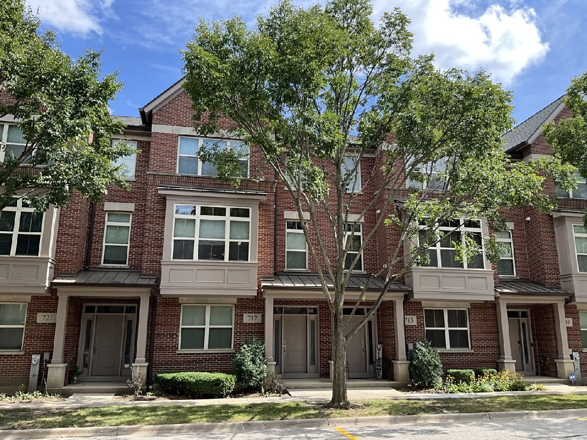 Townhomes For Sale Aspen Pointe Vernon Hills Illinois, 717 Summit Lane