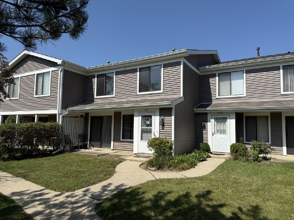  Rented Vernon Hills Illinois, 411 Tyler