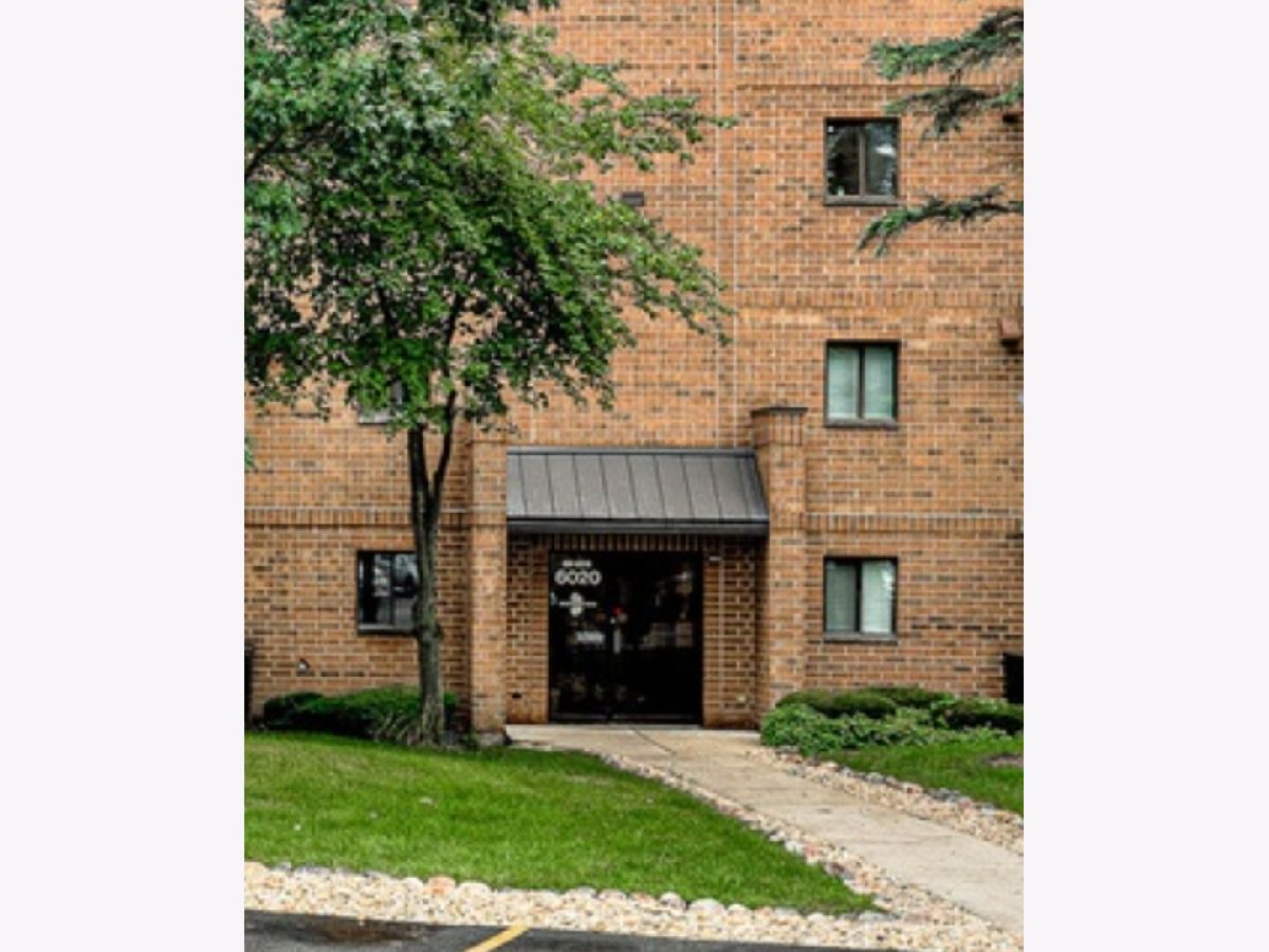  For Rent Tinley Park Illinois, 6020 Lake Bluff
