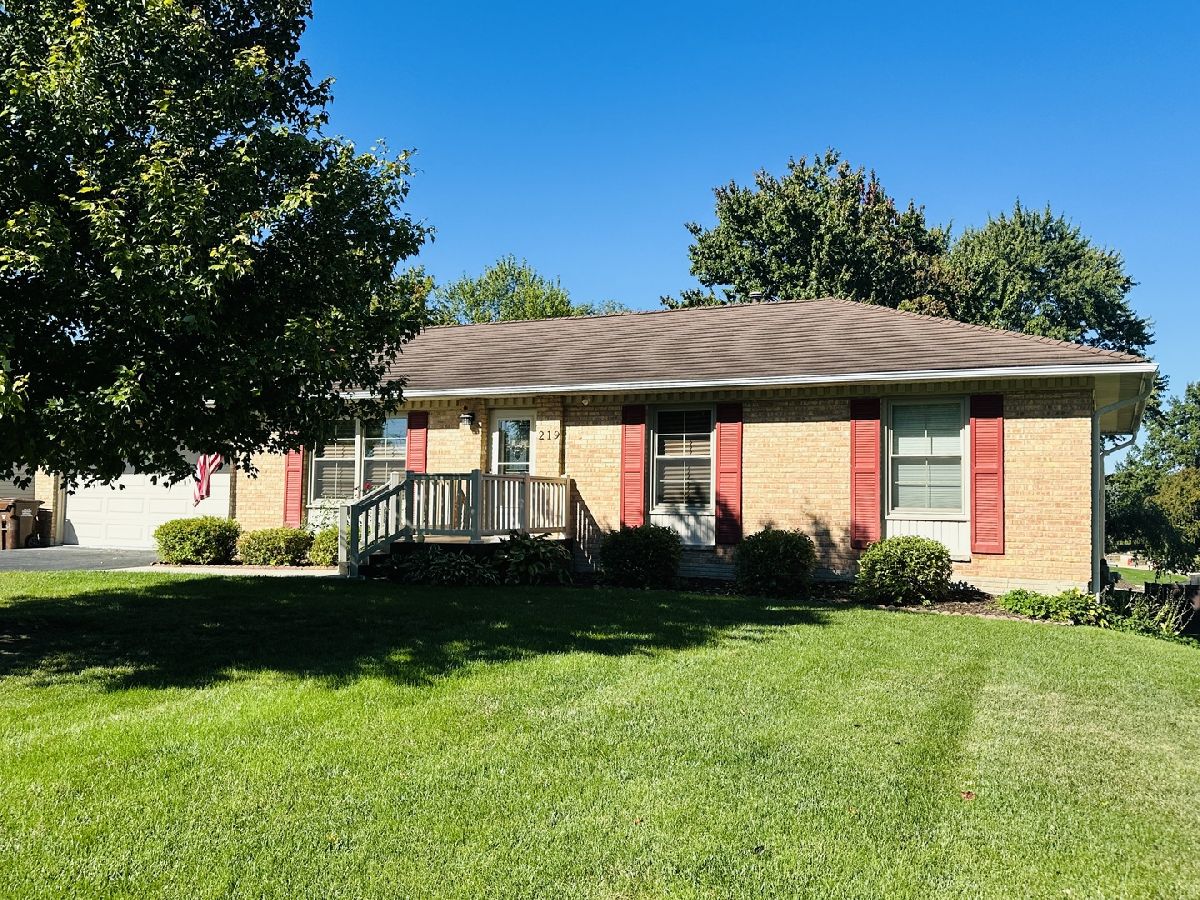  Sold Lena Illinois, 219 Palm