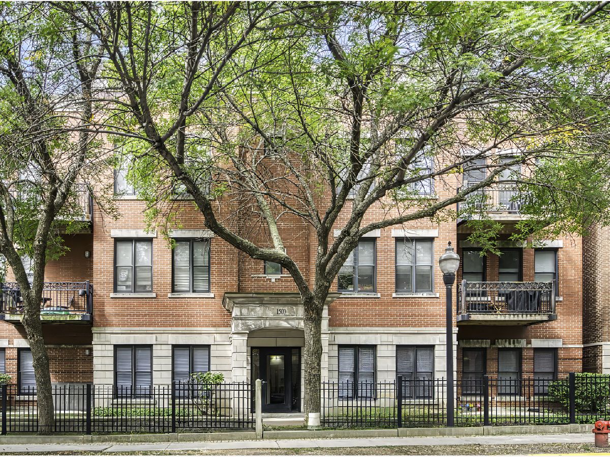  Rented Chicago Illinois, 1500 Halsted