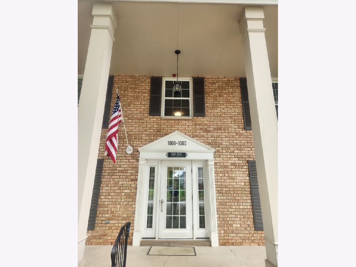 Condos & Townhomes For Sale The Mansions Naperville Illinois, 1066 Spring Garden Circle