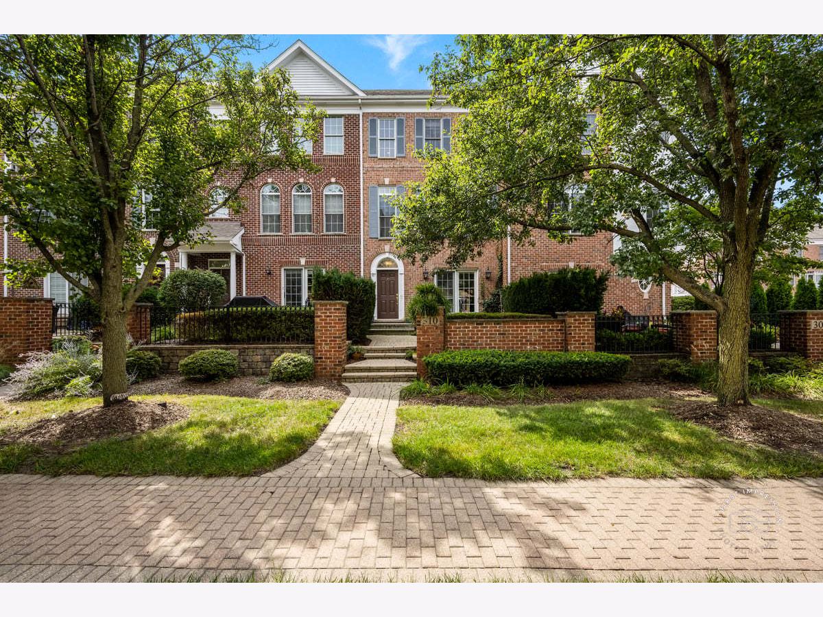 Townhomes & Homes Sold Naperville Station Naperville Illinois, 310 Big Rail