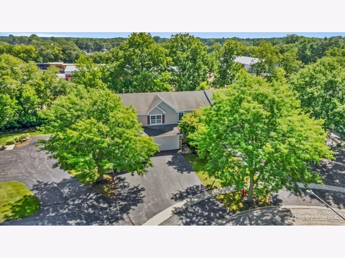 Townhomes For Sale Mistwood Crystal Lake Illinois, 221 Mistwood Lane