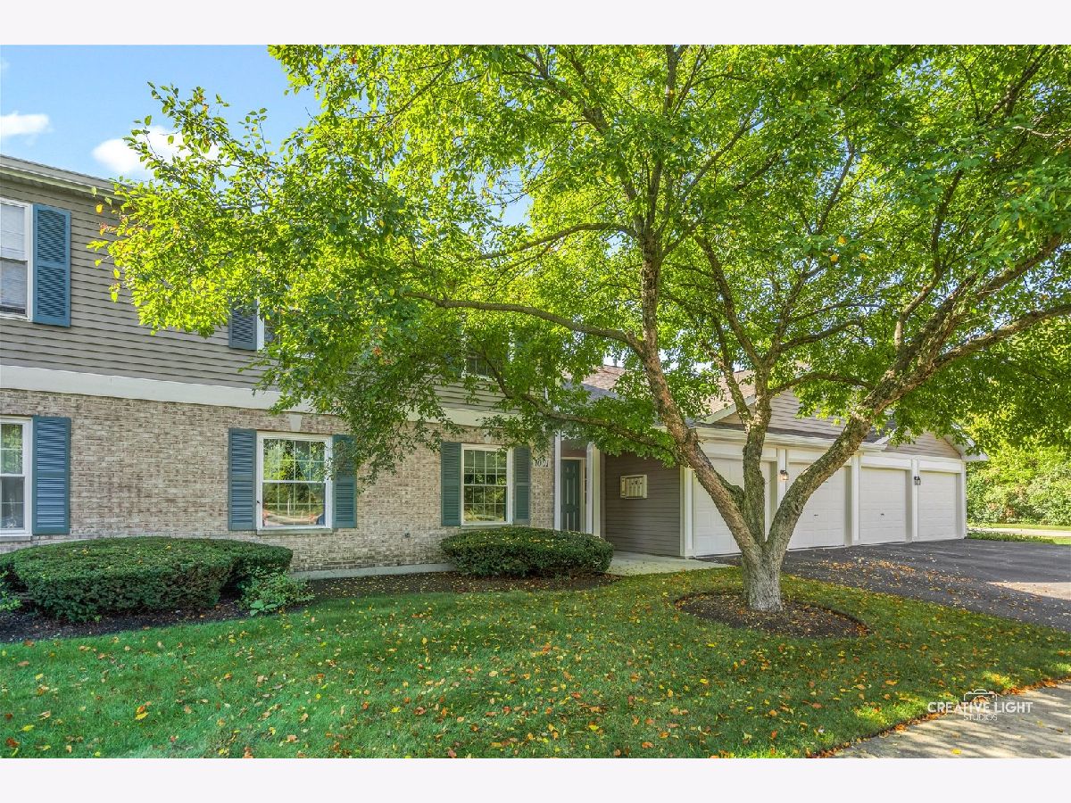 Condos & Townhomes For Sale Oakwood Hills Elgin Illinois, 1001 Radclyffe Court