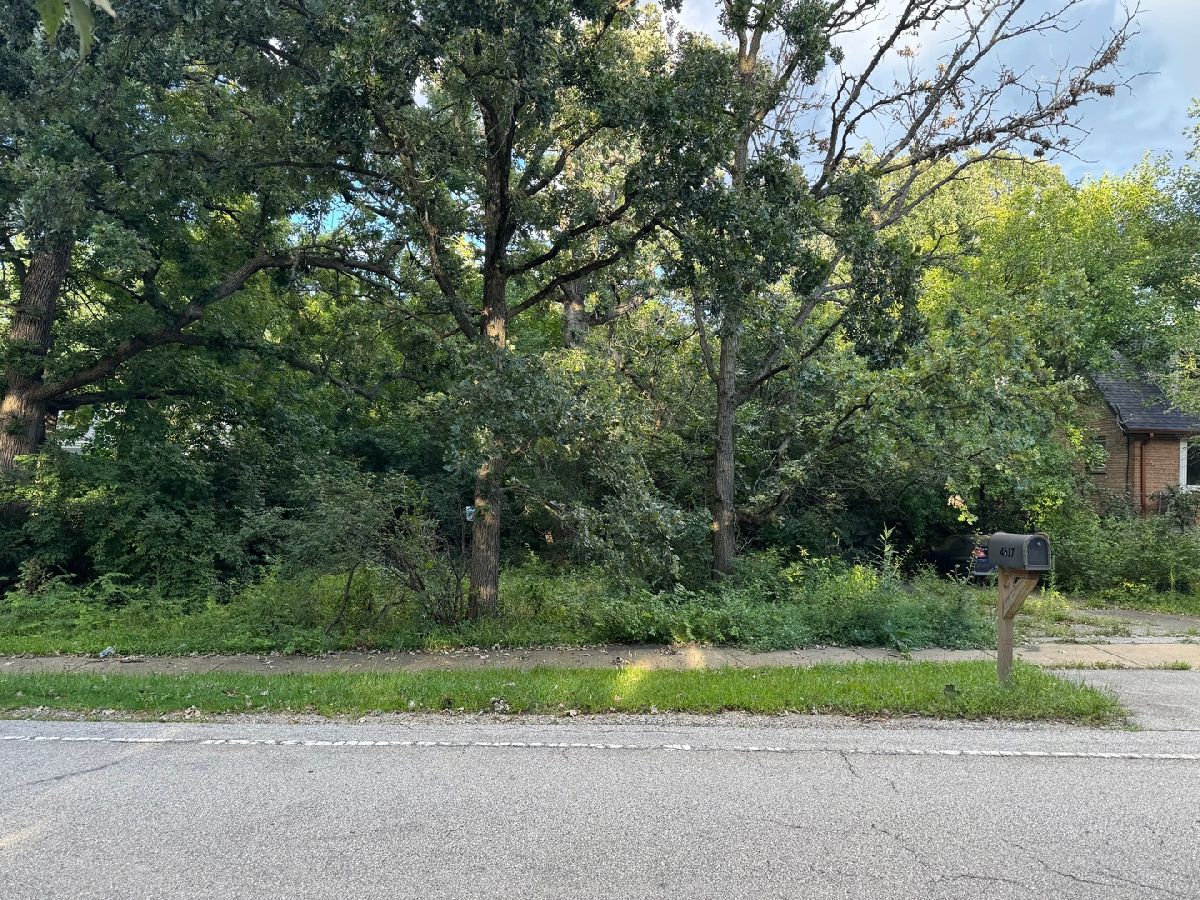  Sold Lisle Illinois, 4617 Devon