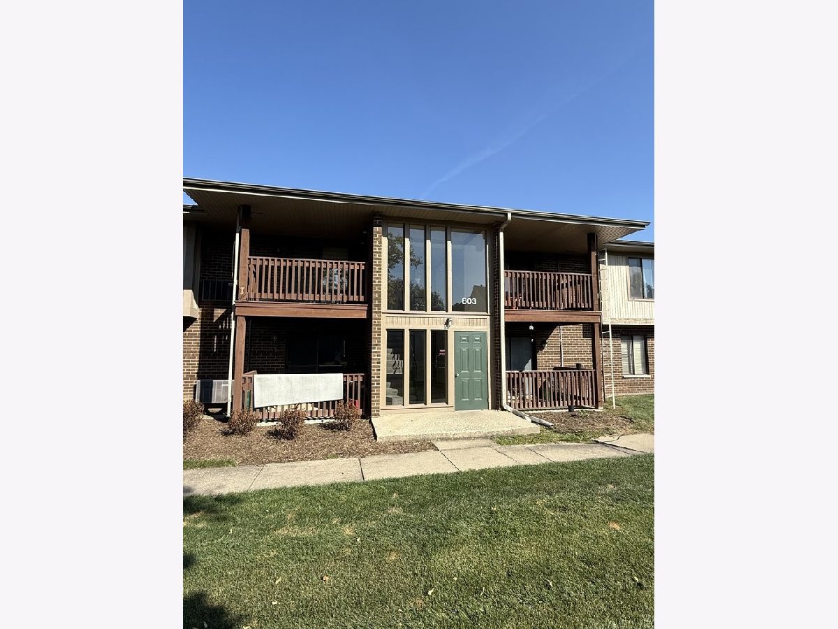  For Rent Streamwood Illinois, 803 Brook