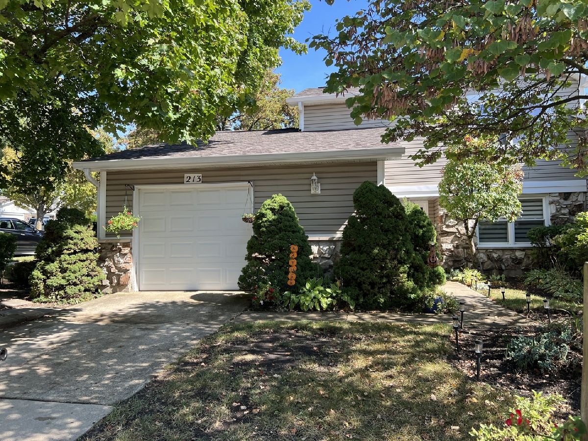 For Rent Bloomingdale Illinois, 213 Stanyon
