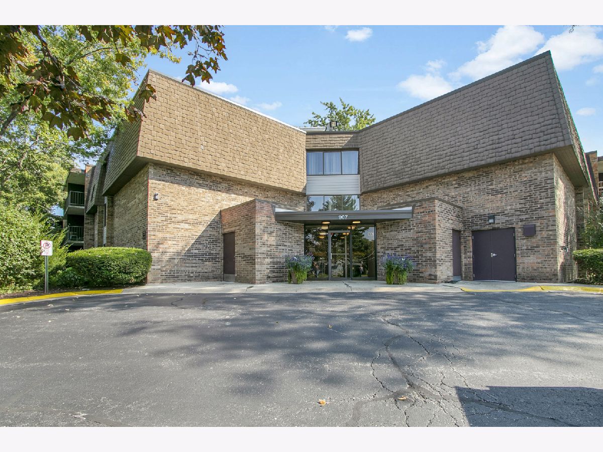 Condominiums For Sale Cass Lake Village Westmont Illinois, 907 Williams Street