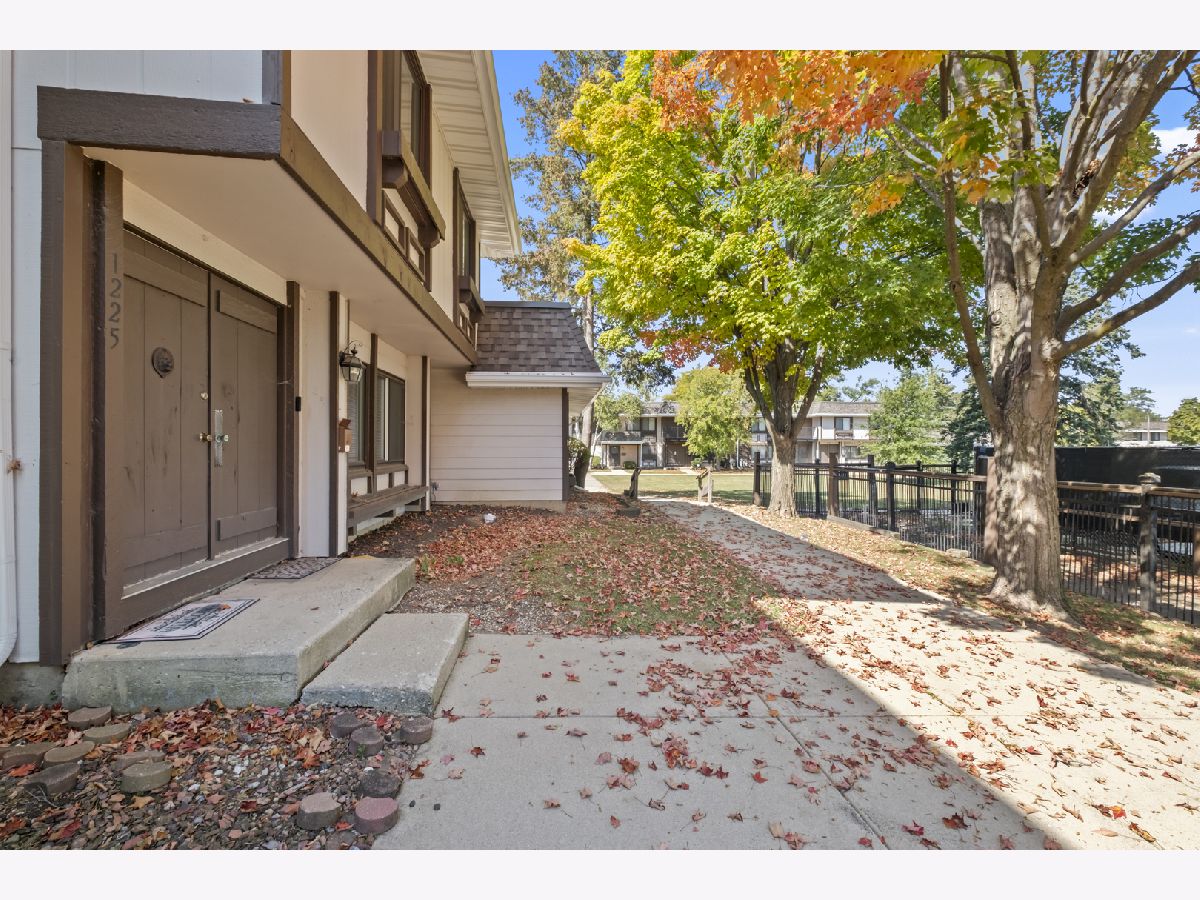 Townhomes & Condos For Sale Tanglewood Hanover Park Illinois, 1225 Court C Avenue