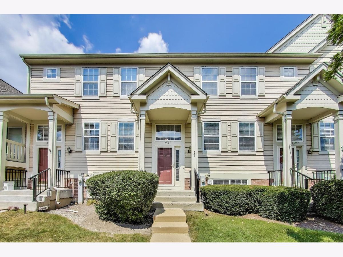 Townhomes & Homes For Rent College Trail Grayslake Illinois, 985 Manchester
