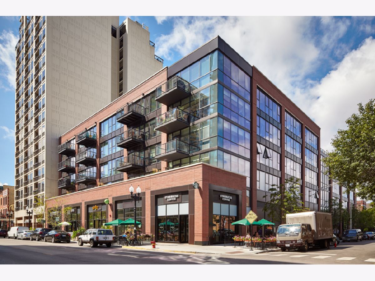  Rented Chicago Illinois, 211 Scott