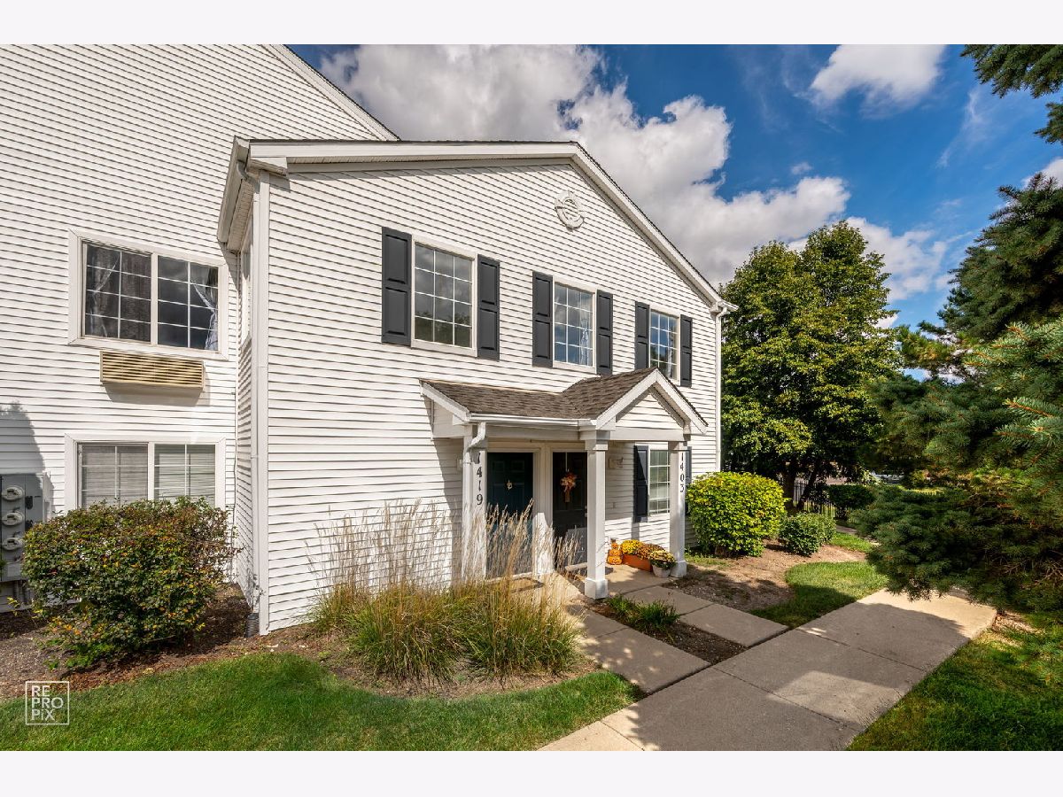 Condos & Townhomes For Sale Prairie Point Aurora Illinois, 1419 Mcclure Road