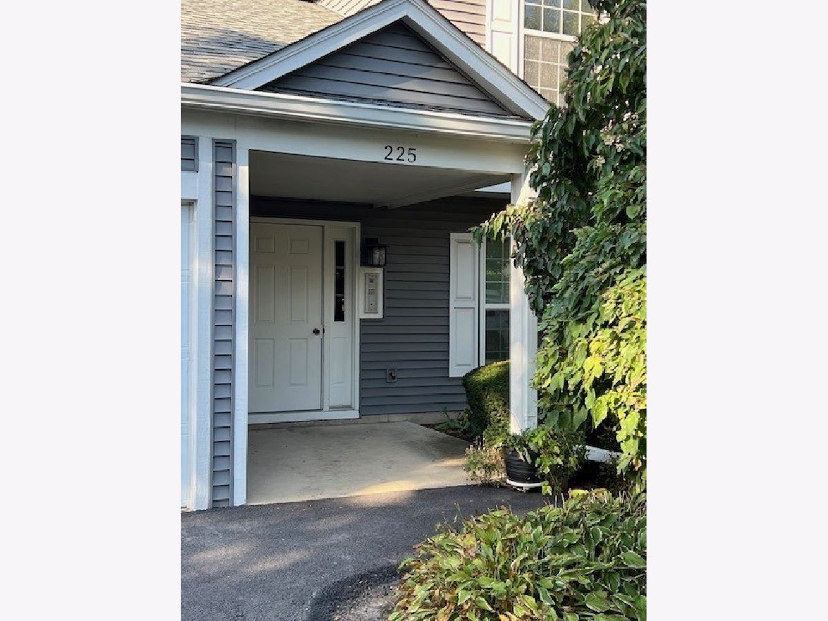 Condos & Townhomes For Sale Winchester Place Naperville Illinois, 225 Hampshire Court