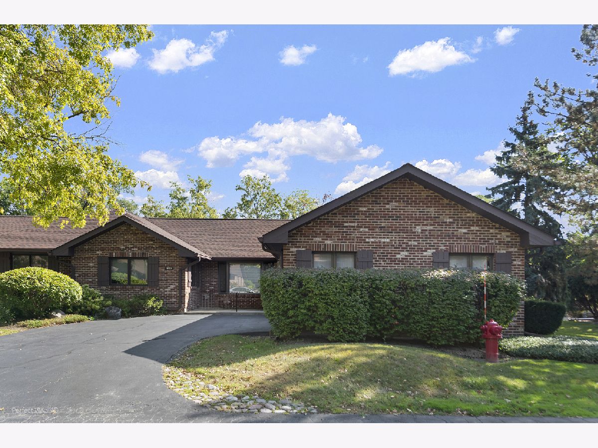 Townhomes & Condos For Sale Brookside Palos Park Illinois, 11731 Brookside Drive