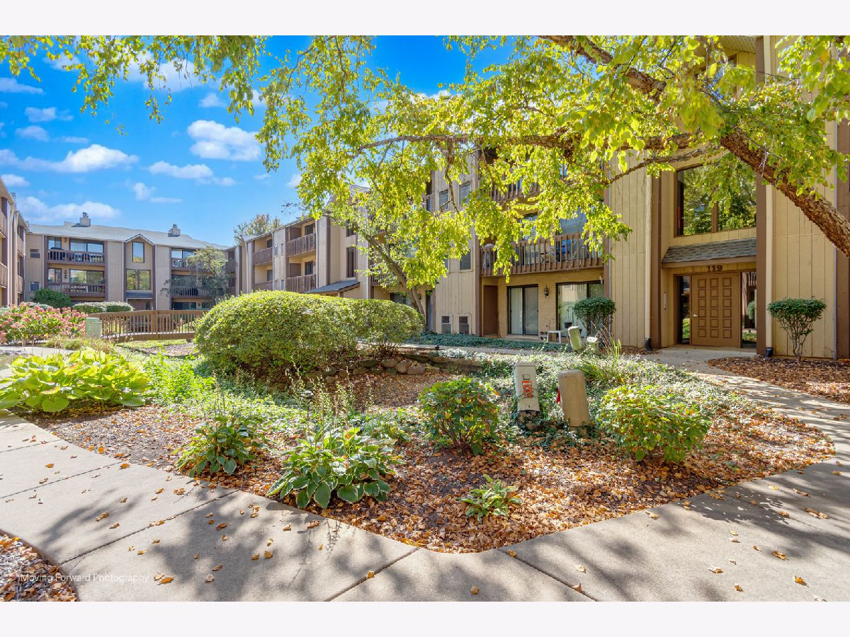 Sold Naperville Illinois, 119 Olesen