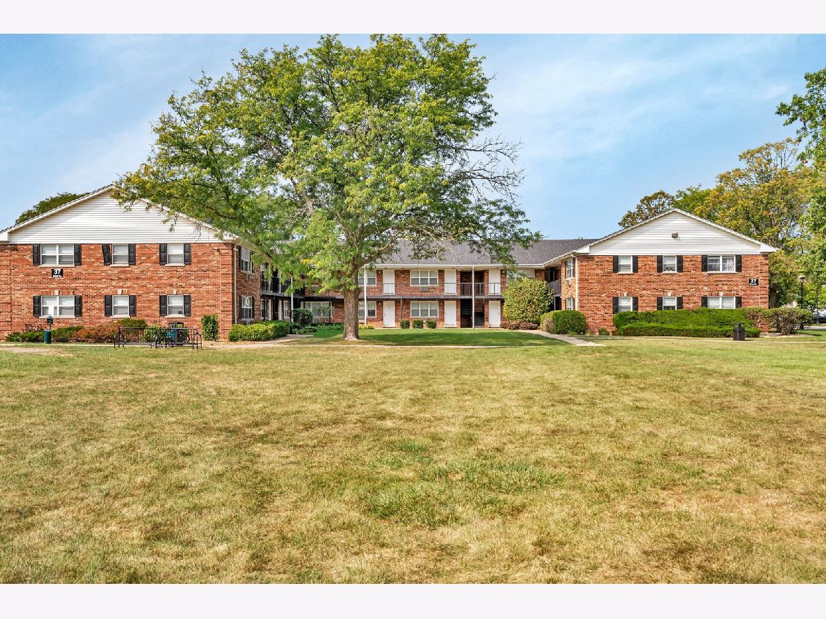 For Rent Glen Ellyn Illinois, 11 Briar