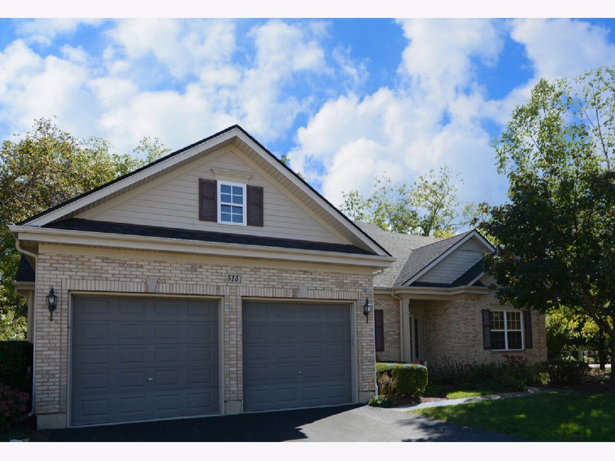 Condos & Townhomes & Homes For Sale Madison Homes Elgin Illinois, 515 Madison Lane