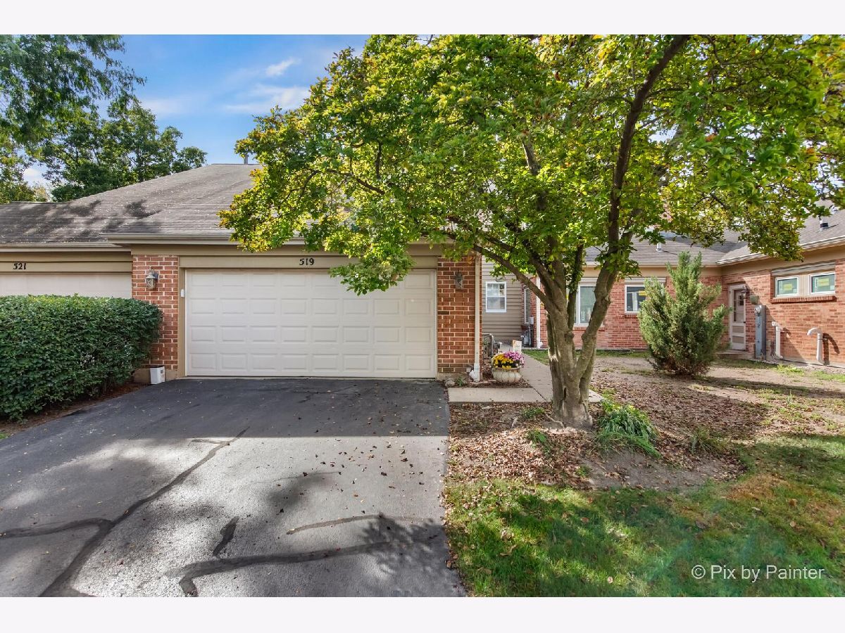 Townhomes For Sale Hickory Ridge Elgin Illinois, 519 Shagbark Drive