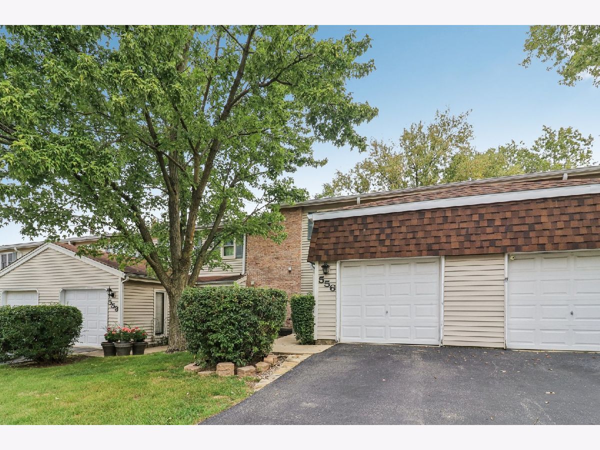 Townhomes For Sale Winston Village Bolingbrook Illinois, 556 Leslie Lane