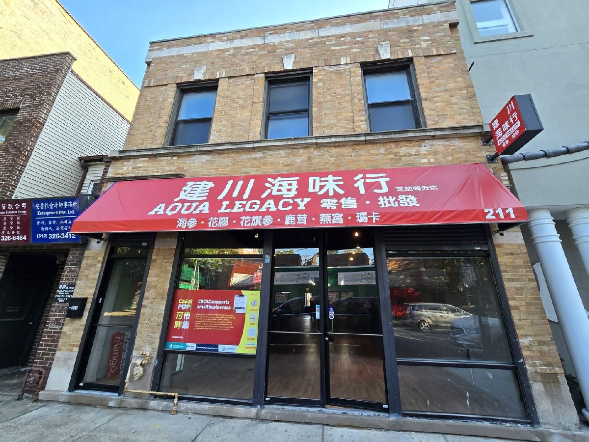 For Sale Chicago Illinois, 211 23rd Street